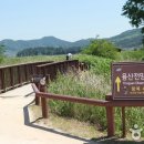 순천만 용산전망대(S자 물길) Daum카페