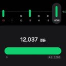정관장(도통점) | 24.11.16 d-7 역시 마트만한 워킹 포인트가 없다..