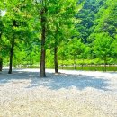 마루펜션 캠핑장 이미지