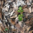 신한디앤엘 이미지