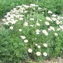 기문농장 이미지