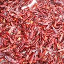 오로라가든 펜션 이미지