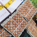 성실유통 이미지