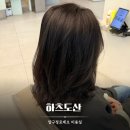 푸른미용실 | 청담동미용실 하츠도산 변재연팀장님께 다운톤 전체염색 클리닉 받은 후기