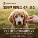 (주)피트 | 영천)러닝독트레이닝 대형견 퍼피트 4기 후기 3