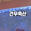 건우정육점 - 예산군 예당로 169 | 건우정육점