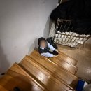 신화제약(주) | 임신기록 #2 / 임신 5주 제주도 여행 후기 (+아기집 확인, 심박수 93bpm 기록)