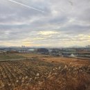 동영슈퍼 | 1일차] N번째 전주 여행_속눈썹펌/대보장 물짜장/동영커피 치즈케이크/연화정도서관/평화와평화 카페...