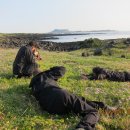 온평리-2 이미지