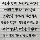 써밋태권스쿨 이미지