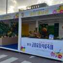 고흥유자석류축제 이미지