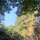 온리앳오운리 이미지