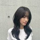 어뮤트 네이버블로그