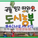 규의농장