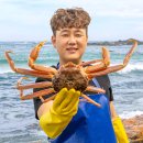 해뜨는집 민박 | 포항민박 오어사맛집 영진식당에서 1박하기