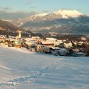 조아쥬스 이미지