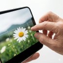 [시니어스마트교육] 중급 컴퓨터 | 시니어 스마트폰 사진 잘 찍는 구도 인생샷을 위한 밝기 조절 꿀팁