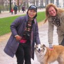 플란다스의 개 이미지