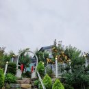 올래펜션 | 영흥도 가족펜션 독채 온수풀 올래펜션 사랑채 내돈내산 후기