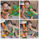 뚝딱뚝딱 나무 이야기 이미지