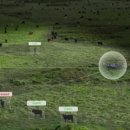 수천목장 이미지