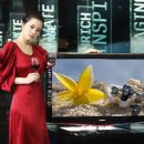 삼성2-116 이미지