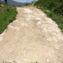 진상제방 이미지