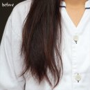 시세이도 프로페셔널 서브리믹 원더쉴드 2024 리미티드 에디션 헤어에센스 추천