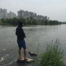 순종철판동태찜 이미지