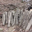 반딧불펜션 이미지