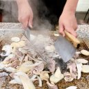 황금오리 이미지