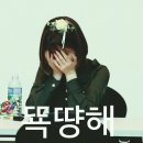 촉