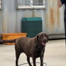 해미르모텔 이미지