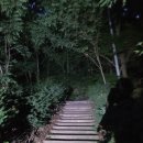 수원광교산점 | 초보자 추천 수원 광교산 형제봉 야등 코스 후기(반딧불이화장실~형제봉)_26.07.03