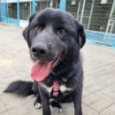 서울특별시 새마을회관 이미지