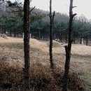 송산조견선생묘 이미지