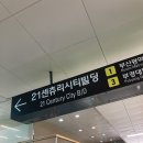 경성대 타로 별모아 타로 솔직후기