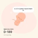 우리힐메디 - 고양시 일산동구 | 임신일기] 임신 4개월차 진입 세종시 조리원투어 조리원추천_세종르보아, 세종드이자르 투어 및 계약후기