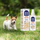 우리집 강아지 이미지