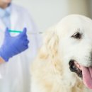 광진동물의료센터 이미지