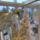 셀럽 | 영종도 오션뷰카페 데일리셀럽 베이커리 카페 방문 후기