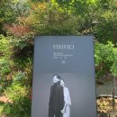 비니비치