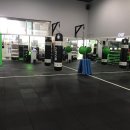 Y-GYM (헬스) 이미지