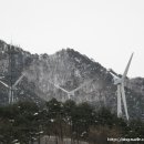 양구수산횟집 이미지