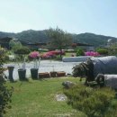 덕풍3농장 이미지