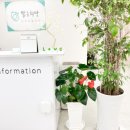 목동서로 이미지