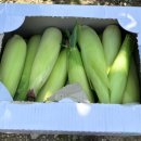 반딧불황토방 이미지