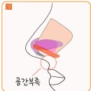 니트성형외과의원 | 코성형만으로 인중 축소 효과까지 가능하다고? (feat.코냥수술)