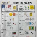 리틀비 | 원어민영어 리틀비 문화센터 후기ღ