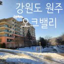 원주 여행 오크밸리 골프빌리지 31평 숙소 리뷰 : 콘도A 노블 취사형(일정, 모바일 체크인, 뷰 꿀팁)